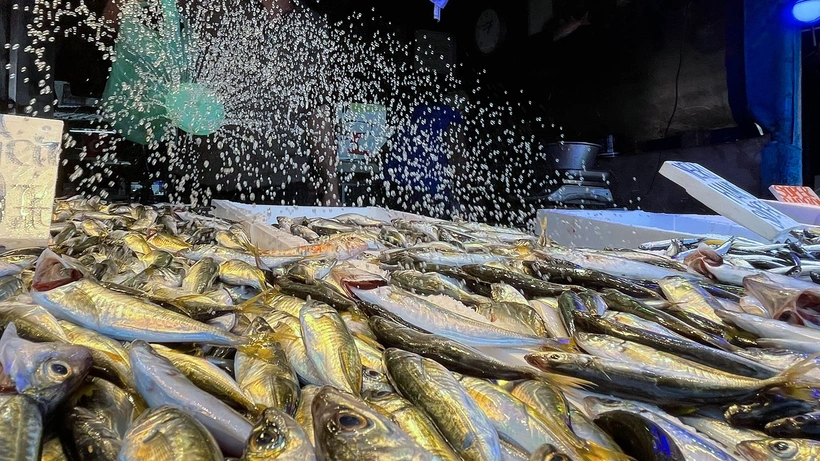 Balık fiyatlarında aracı etkisi: 20 liraya aldıkları balığı 60-80 liraya satıyorlar