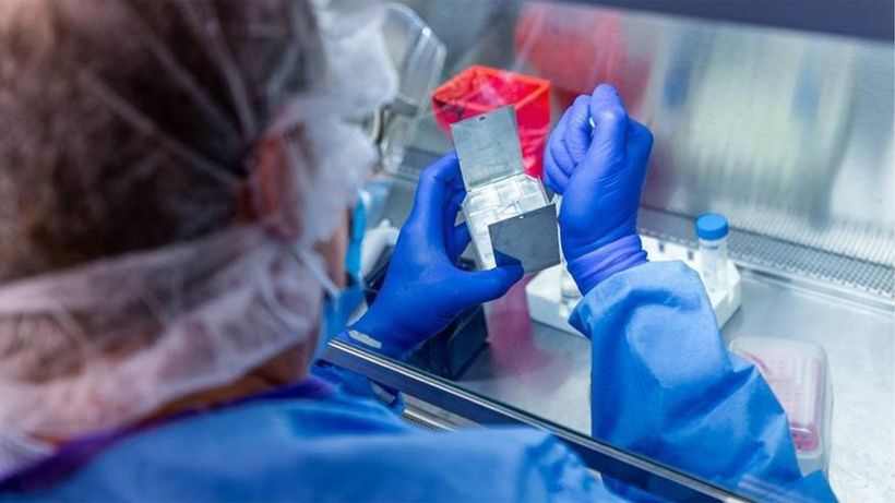 DSÖ, koronavirüsün kökeni için yeni ekip kurdu