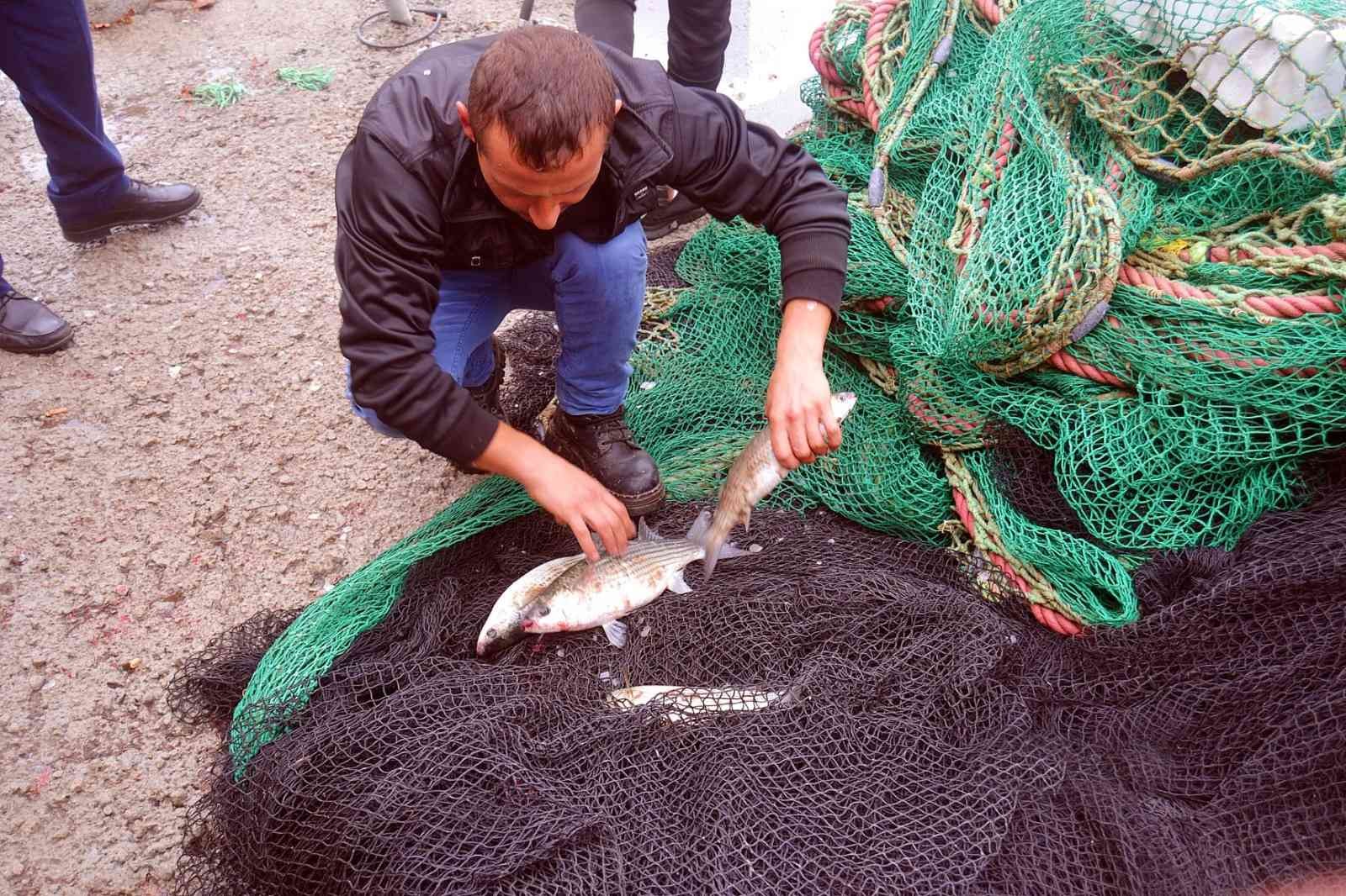 Erdek sahilinde kefal bolluğu