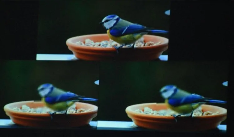 TecoGAN ile yapılmış bir blur ya da mozaik kaldırma işlemi örneği