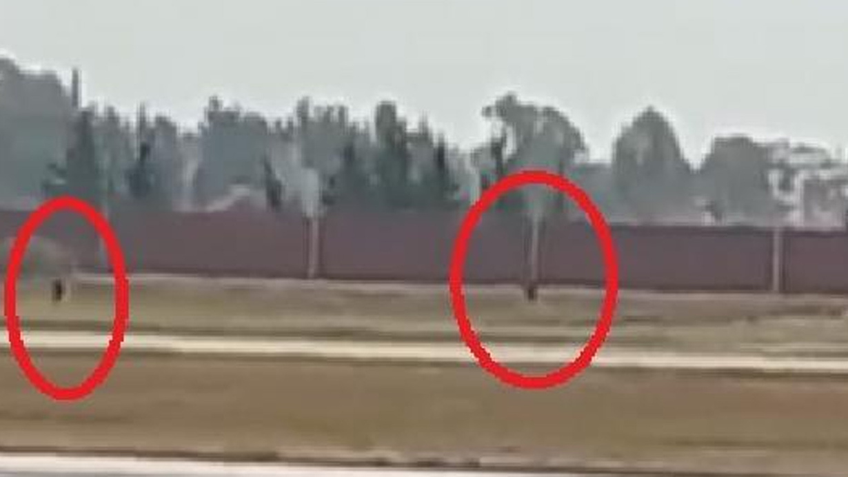 Adana Havalimanı’na uçağın önünü kesen şüphelilerin ifadesi ortaya çıktı: Hata yaptık