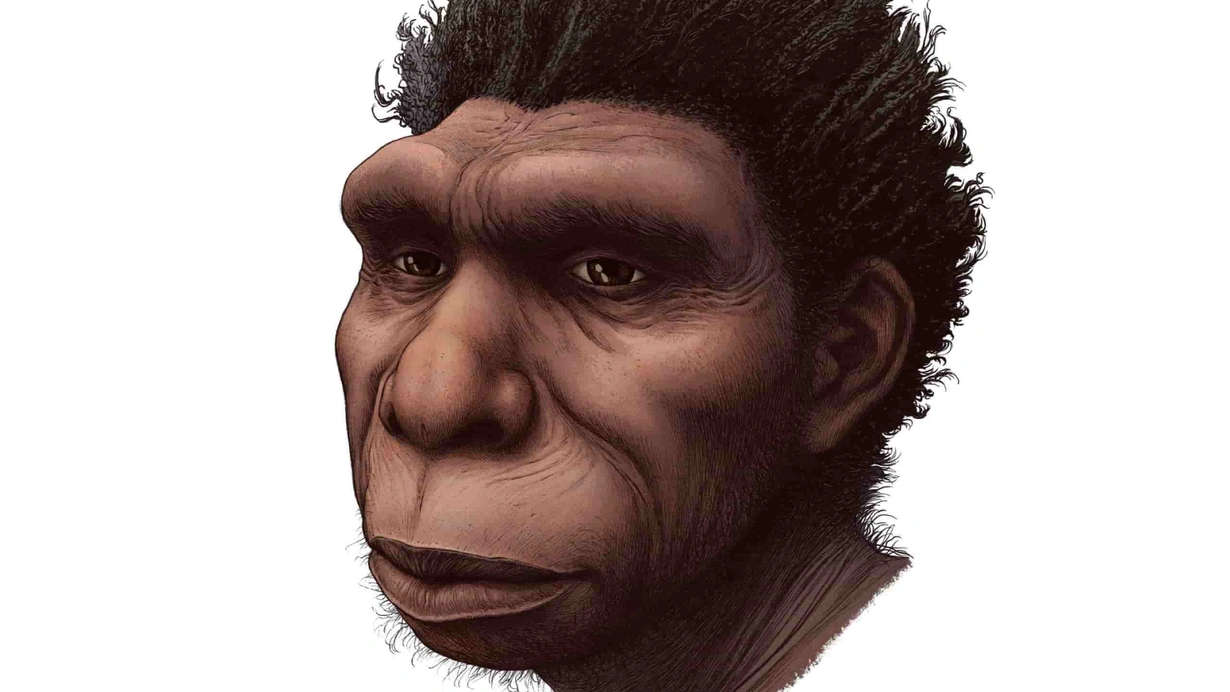 Homo bodoensis... Yeni bulunan bu insan türü 'Gordion'un düğümü'nü çözebilir