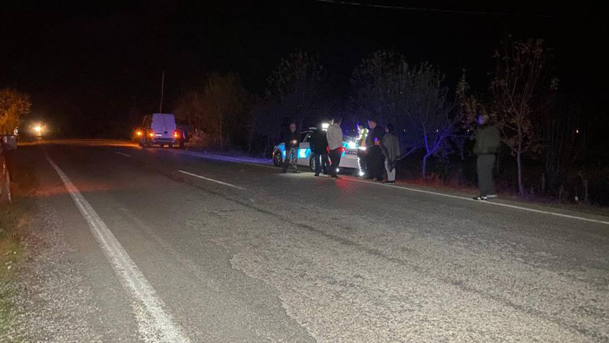 Kazlardan kaçarken kaza yaptı, kanala uçtu!