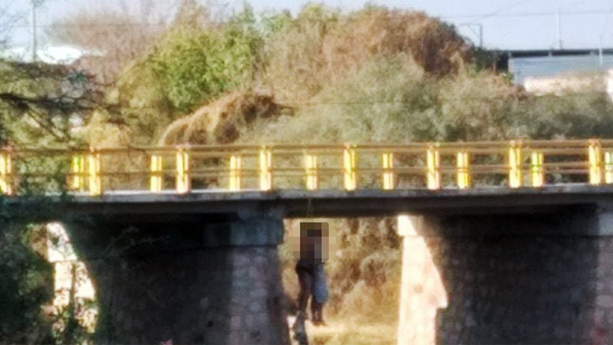 Meksika'da dehşet! Asılı halde 8 ceset bulundu