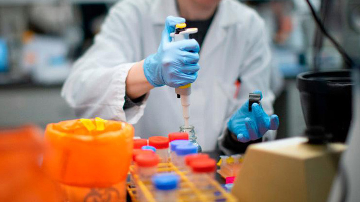 Bilim insanını laboratuvarda fare ısırdı, koronavirüs testi pozitif çıktı!