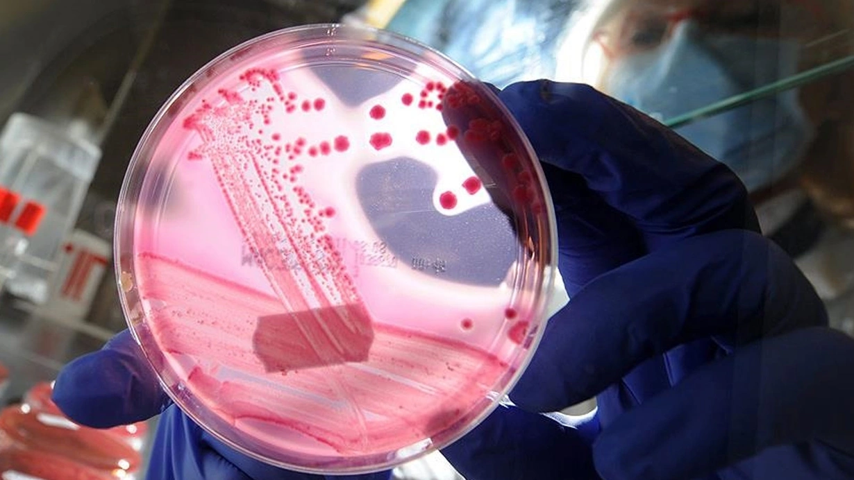 SMA Bilim Kurulu bugün toplanacak: İki gündem maddesi