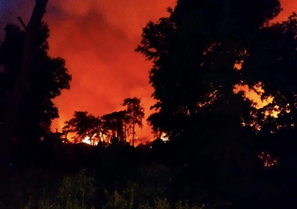 Marmaris&#8217;te orman yangını